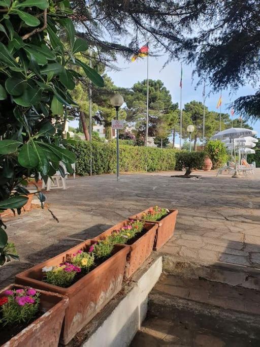 Ccc Holiday Properties Le Vele Ccc Montalto di Castro Kültér fotó